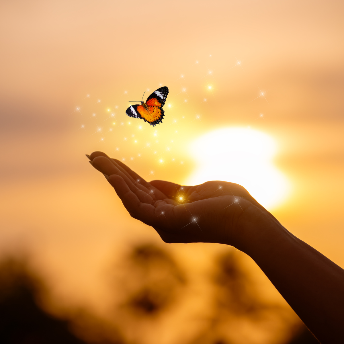 Coaching sophrologie affirmation de soi femmes Bruxelles Giusi Genduso sophrologue coach femmes Uccle Bruxelles