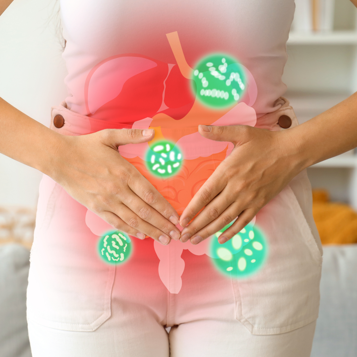 Coaching intestins microbiote candidose sibo bruxelles Giusi Genduso microbiote nutrition stress Uccle bruxelles